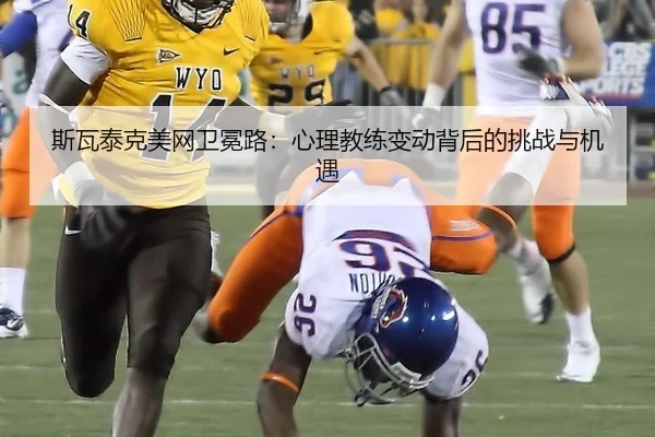 si-wa-tai-ke-mei-wang-wei-mian-lu-xin-li-jiao-lian-bian-dong-bei-hou-de-tiao-zhan-yu-ji-yu-3-202.jpg