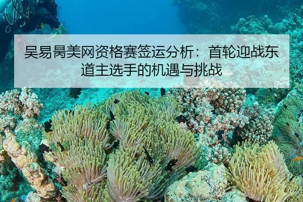 吴易昺美网资格赛签运分析：首轮迎战东道主选手的机遇与挑战